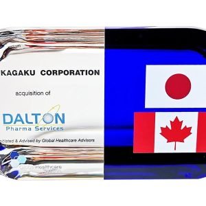 Flag-Themed Cross-Border Deal Toy