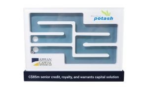 Labyrinth Maze Game-Themed Deal Toy