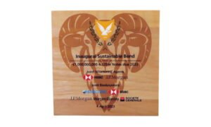 Wood Sustainable Bond Deal Toy