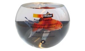 Project "Goldfish" Financial Tombstone