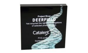 Project "River" Financial Tombstone