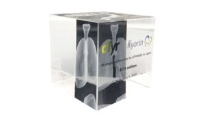 Crcystal Deal Toy with 3D Etching Effect